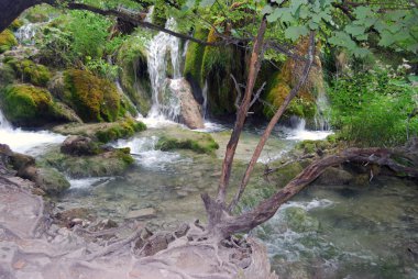 Plitvice Gölleri, Hırvatistan