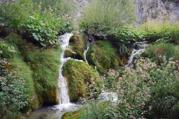 Λιμνών Plitvice, Κροατία — 图库照片