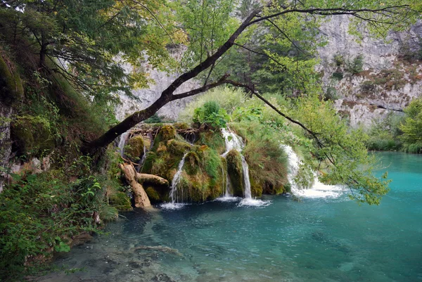 Плитвицкие озера Хорватии — стоковое фото
