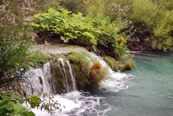 Plitvická jezera, Chorvatsko — Stock fotografie