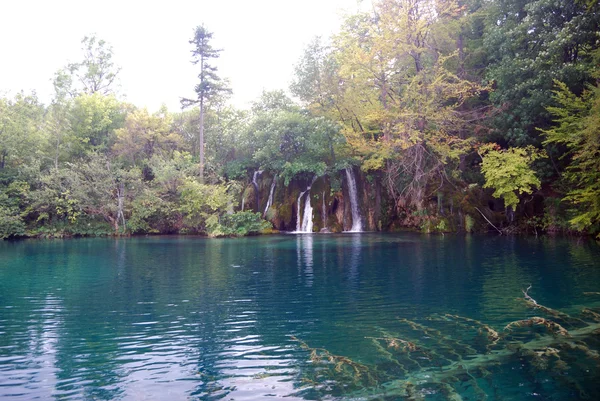 Плітвіцькі озера, Хорватія — стокове фото