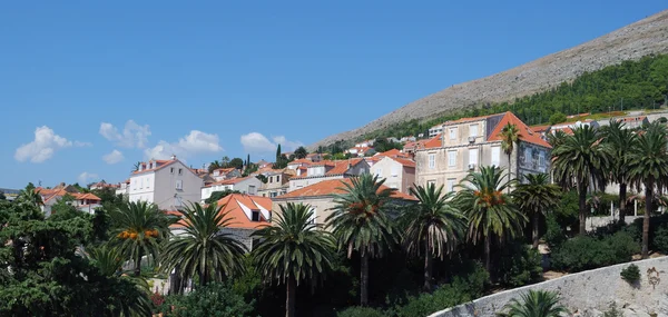 Croacia, Dalmacia meridional, Dubrovnik —  Fotos de Stock