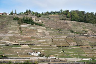 Asma teraslar, İsviçre köyden bir görünümünü.