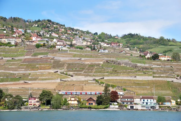 Widok wsi tarasy winorośli, Szwajcaria. — Zdjęcie stockowe