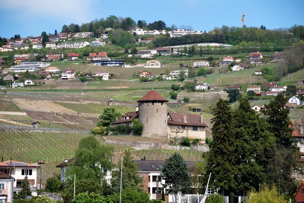 Uitzicht over de stad van het meer van Genève, Zwitserland. — Stockfoto