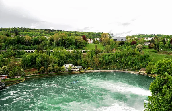 Rhine Falls Avrupa'nın en büyük şelale mi — Stok fotoğraf