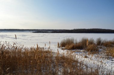Irtysh Nehri 'nde Sabah, Omsk Bölgesi, Sibirya, Rusya