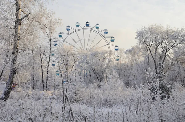 オムスク市の冬のシベリア公園 — ストック写真
