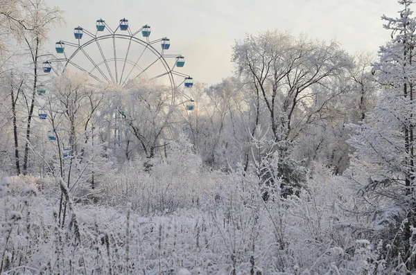 オムスク市の冬のシベリア公園 — ストック写真