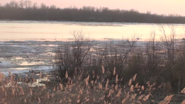 Dérive Glace Sur Rivière Irtysh Région Omsk Russie — Video