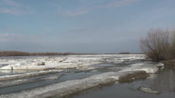 ロシアのオムスク州 アーティシ川の流氷 — ストック動画