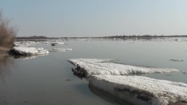 Льодовиковий Дрейф Річці Іртиш Омська Область Росія — стокове відео