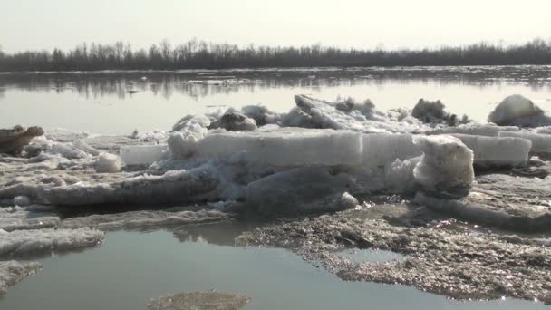 Льодовиковий Дрейф Річці Іртиш Омська Область Росія — стокове відео