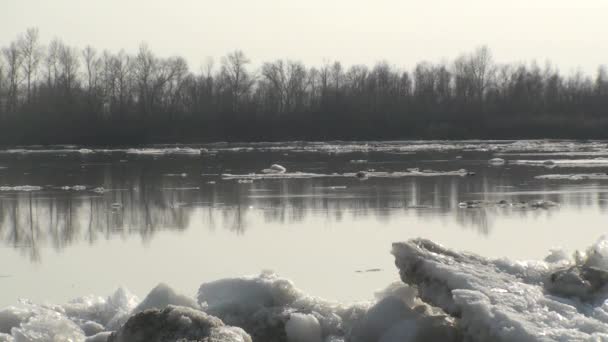Льодовиковий Дрейф Річці Іртиш Омська Область Росія — стокове відео