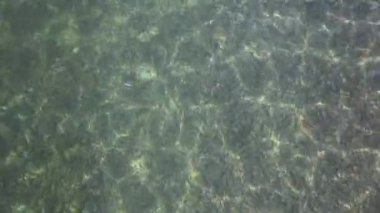 Kırım kıyısında açık deniz