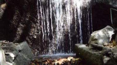 Yalta, Kırım yakınlarındaki Vorontsov Sarayı 'nda parktaki güzel yerler