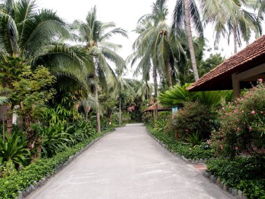 Tropikal bahçede yol, Nha Trang, Vietnam
