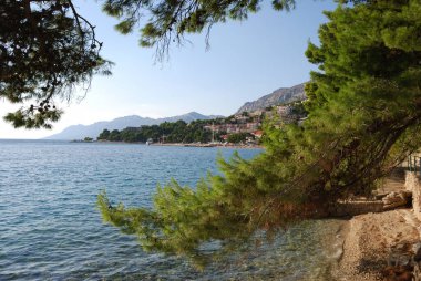 Baska Voda, Hırvatistan - 7 Eylül 2009: Turistler Adriyatik Denizi sahillerinde güneşleniyor ve yüzüyorlar