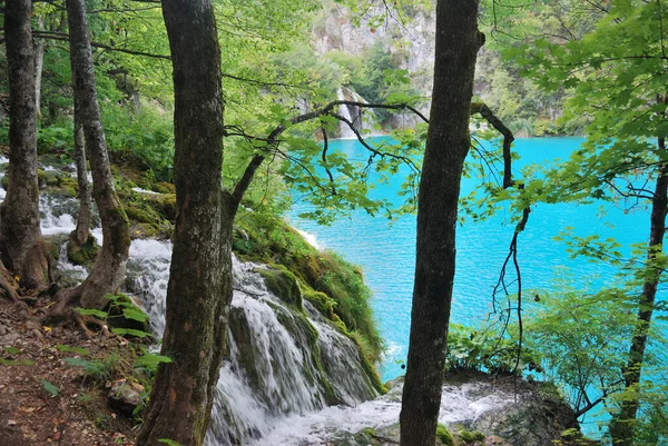 Плитвицкие Озера Хорватский Национальный Парк — стоковое фото