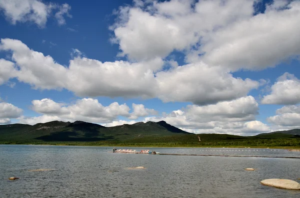 Shchuchye jezero státní národní Park "Burabai", Kazachstán — Stock fotografie