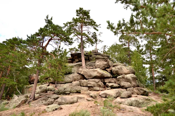 V horském lese, státní národní Park "Burabai", K — Stock fotografie