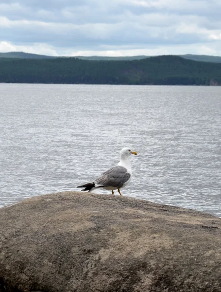 Lake Borovoe, State National Natural Park \