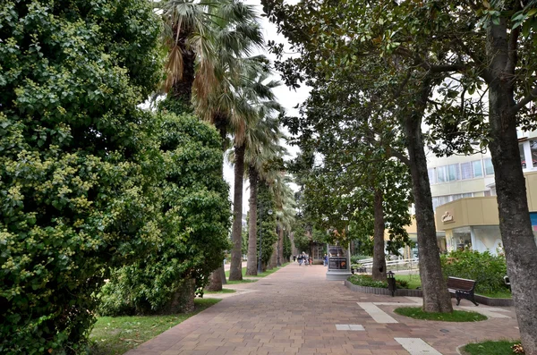 Cityscape Soçi, Navaginskaya street, yaya Bulvarı