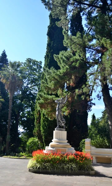 Widok parku Arboretum miasta Soczi, Rosja — Zdjęcie stockowe