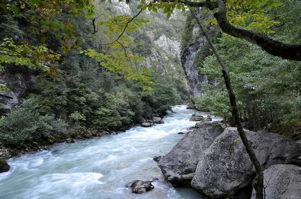Utsikt över floden berg Yupshera Abkhazia — Stockfoto