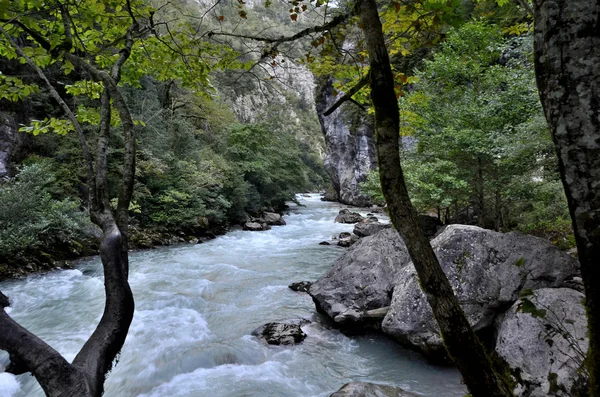 Vue sur la montagne rivière Yupshera Abkhazie — Photo