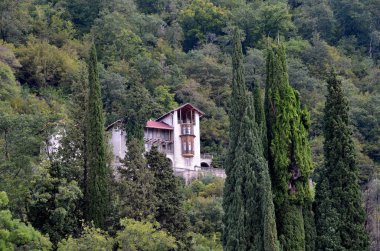 Gören dağ manzarası. Gagra, Abhazya