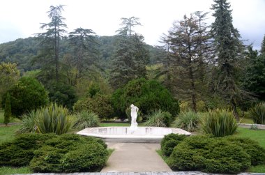 Görünüm iyileştirici gücüne Macesta Sochi, Rusya Federasyonu