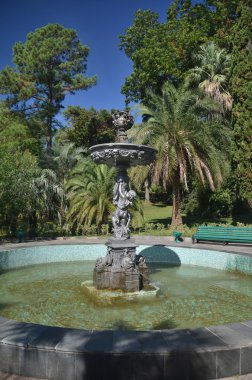 Park Botanik Bahçesi şehrin Sochi, Rusya'nın çeşme görünümünü