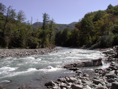 Pitsunda, plaj Abhazya