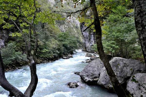 Перегляд гірської річки Yupshera Абхазії — стокове фото