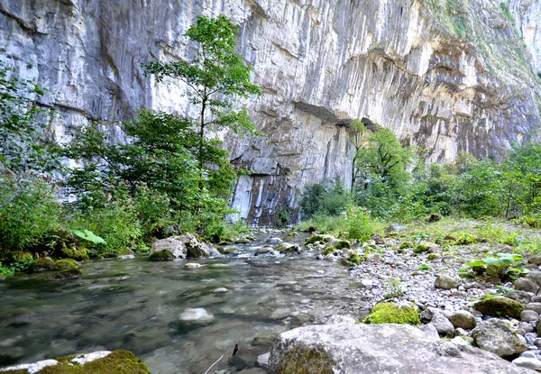 Vista do rio de montanha Yupshera Abkhazia — Fotografia de Stock