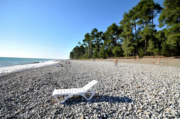 Picunda, Abhazya Beach'te görünümünü