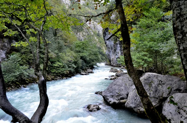 Nézd a hegyi folyó Yupshera Abházia — Stock Fotó