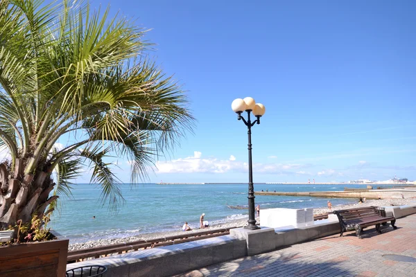 Vista da praia em Sochi, Rússia — Fotografia de Stock