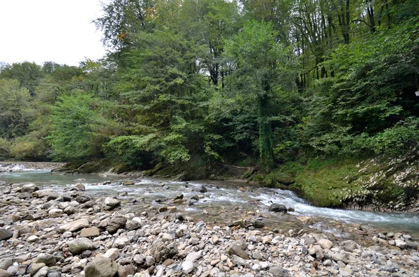 Uitzicht op de rivier Hosta, Sotsji, Rusland — Stockfoto