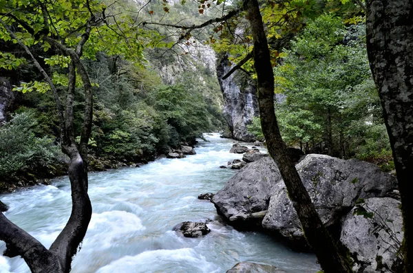 Θέα στο ποτάμι βουνό Yupshera Αμπχαζία — Φωτογραφία Αρχείου