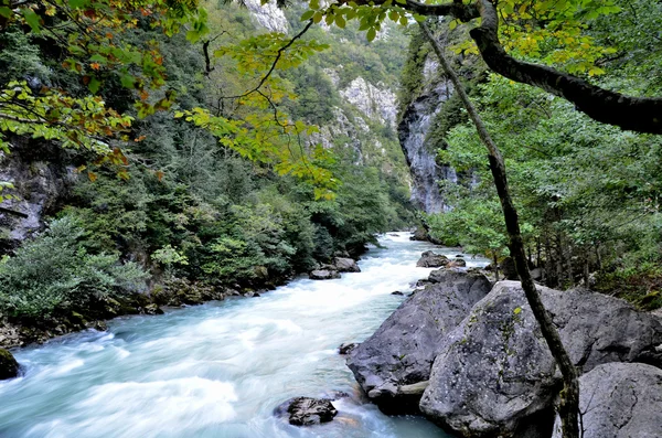 Utsikt över floden berg Yupshera Abkhazia — Stockfoto