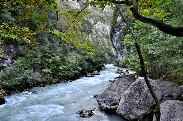 산 강 Yupshera Abkhazia의 보기 — 스톡 사진