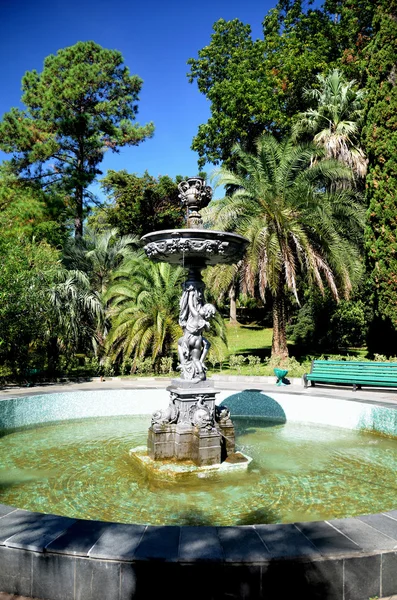 Vista da fonte no parque Arboretum cidade de Sochi, Rússia — Fotografia de Stock