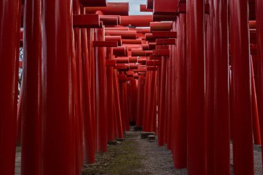 GUNMA, JAPON, OKT. 10. 2020. Koizumi Inari Tapınağı Kapıları 'nın editör fotoğrafı.. 