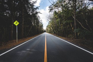 Huysuz tonlu Japonya yolu