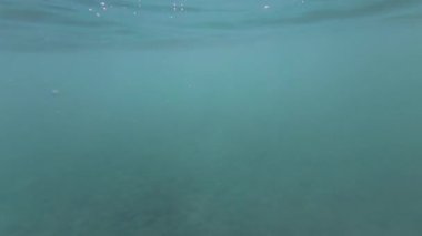 Yavaş Hareket Sualtı Görünümü Açık Mavi Okyanus Suyu