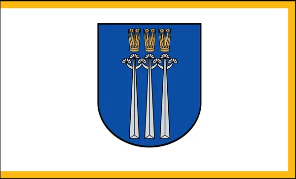 Flagga Druskininkai. Litauen — Stockfoto