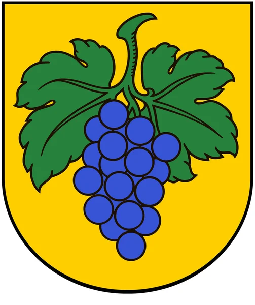 Szabados György címer. Lettország — Stock Fotó