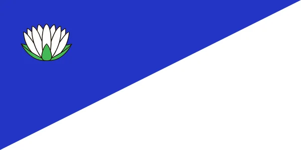 Флаг Брочени. Латвия — стоковое фото